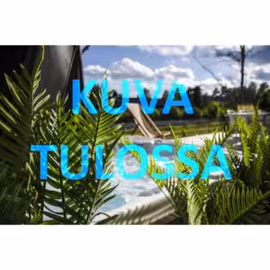 tilapäinen_kuva